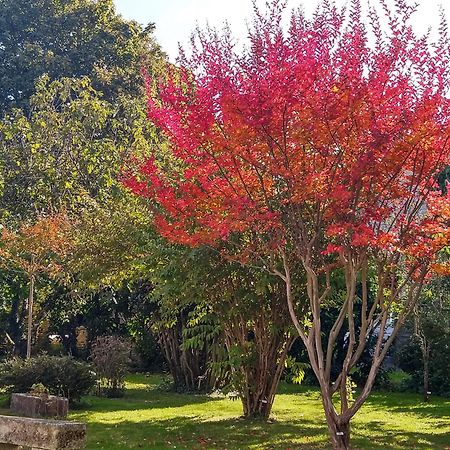 La Demeure D'Ezilda Villa Fléac-sur-Seugne Exteriör bild