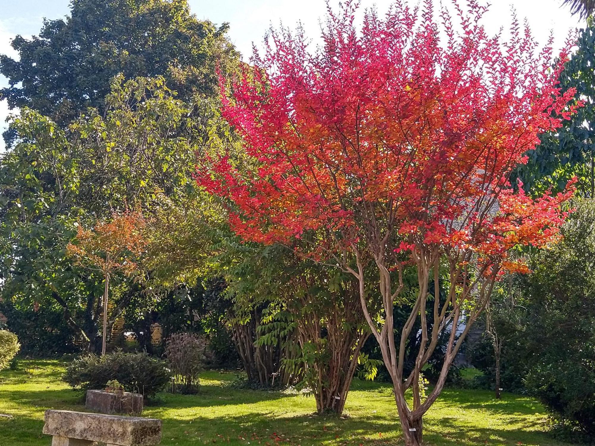 La Demeure D'Ezilda Villa Fléac-sur-Seugne Exteriör bild